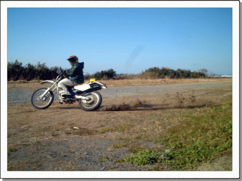 DR250S